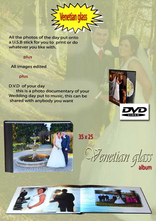 venetian-glass-wedding-albu